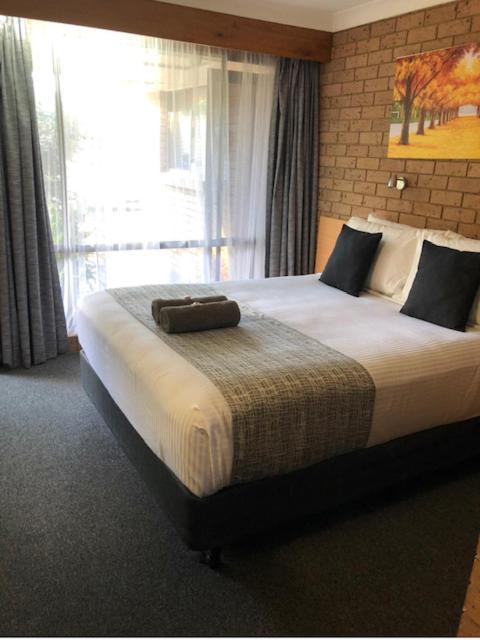 Muswellbrook Motor Inn Extérieur photo