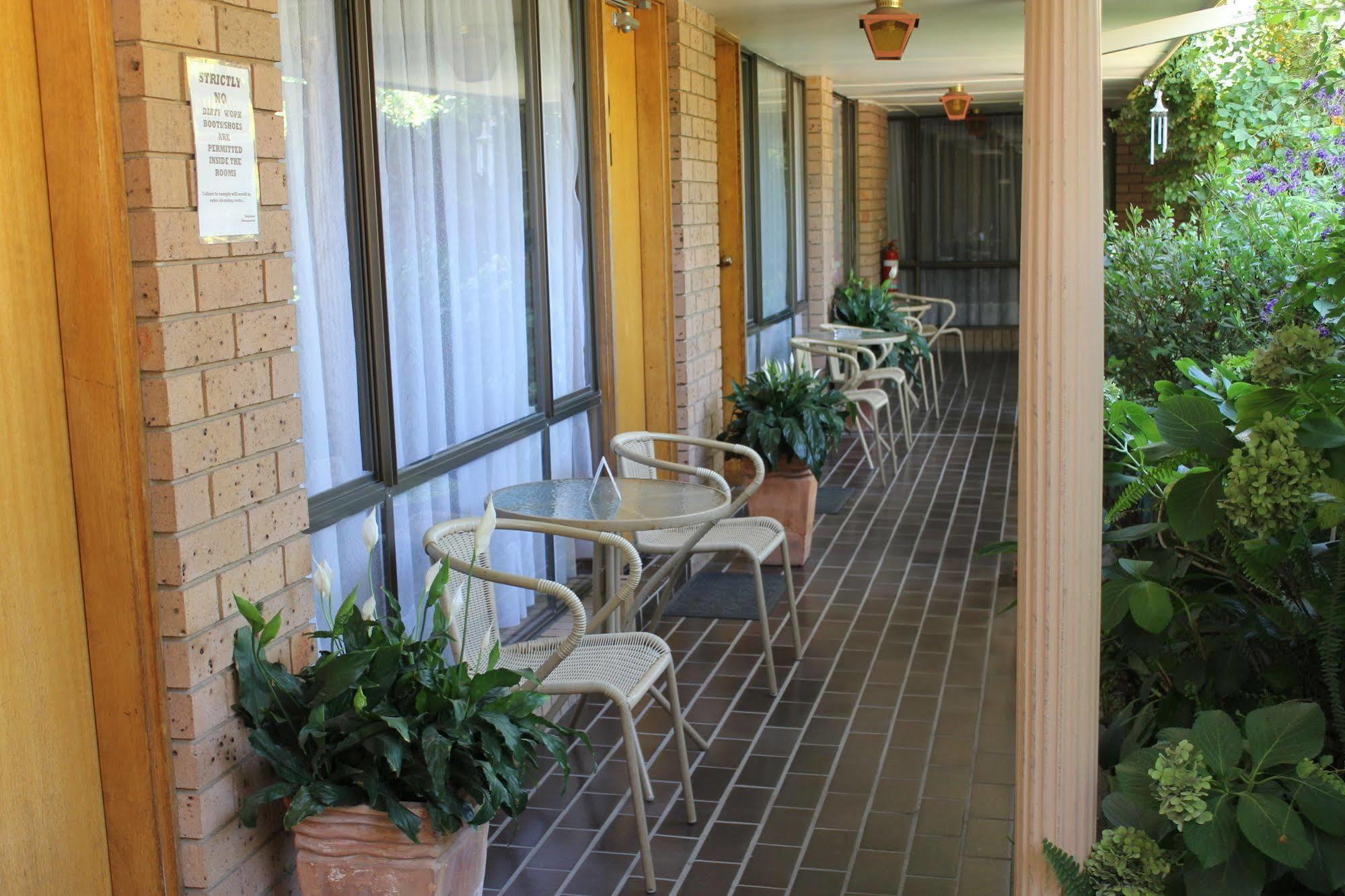 Muswellbrook Motor Inn Extérieur photo